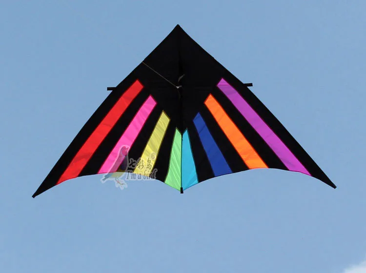 Strong  Huge Beginner delta Kites for  Adults 110-Inch Come With String And Handle good flying