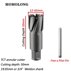 TCT Annular Cutter With 3/4