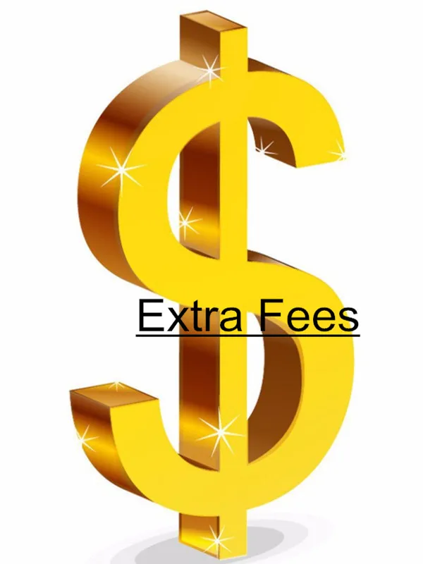 Extra Fee/Extra expense/Premium/Price difference/Postage/Shipping cost/To pay/An additional amount of money/A sum of money/USD 1