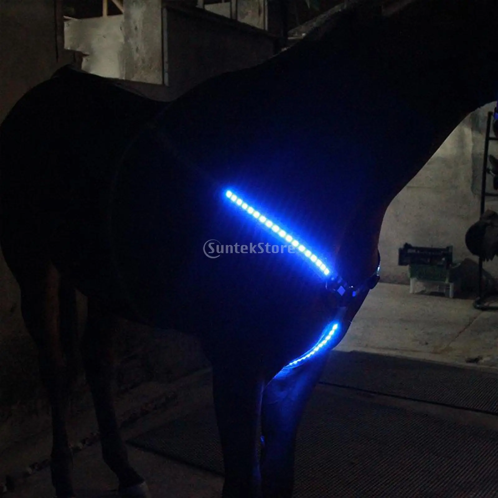 Arnés de caballo LED para el pecho, correa ajustable para el pecho, brida Halter reflectante de alta visibilidad, banda de seguridad