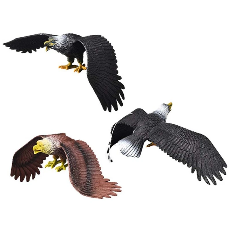 Simulation Solid Static Birds Model Ornaments Realistic Eagle Children Educational Props Scene Decoration Kids Toy