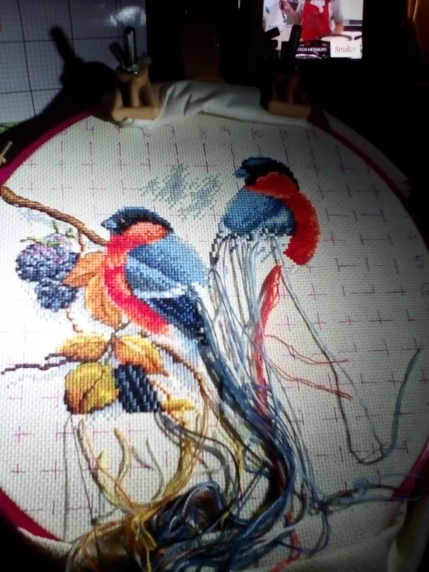 Red bellies Magpies and blackberries cross stitch kit aida 14ct 18ct count canvas stitches embroidery handmade needlework