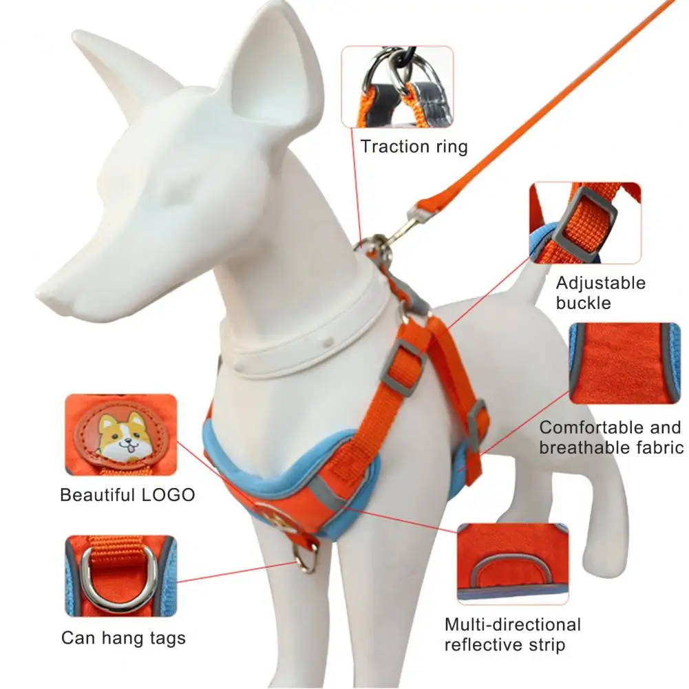 2Pcs/Set Pet Harness Leash Strips Dogs Harness Universal Pet Training Harness Leash Kit For Small Meduim Dogs