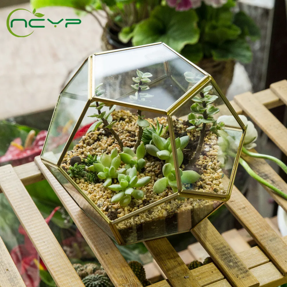 

NCYP Glass Flower Pot Gold Copper Pentagon Ball Shape Open Sphere Glass Geometric Terrarium Succulent Plants Planter Home Decor