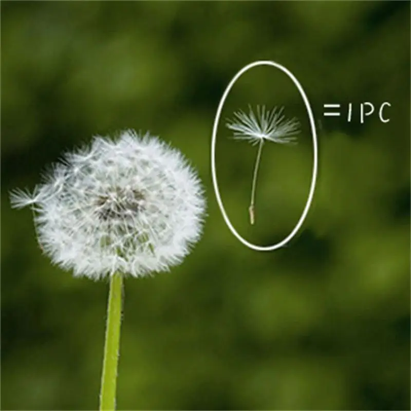 100Pcs Natural Dandelion Seed Small Glass Ball Fillings Resin Wish Dried Pressed Flower Earrings Necklace Jewelry Making