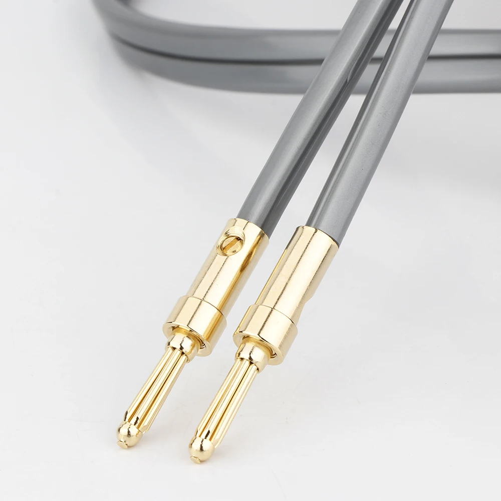 Hifi Audio Vergoldete Bananen Anschlüsse Stecker Lautsprecher Kabel Stecker Adapter Hifi Signal Draht Jack Banana Terminal – Detail 6