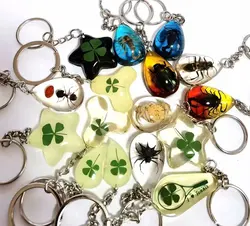 16 pcs fashion real scorpion king cran ant four leaf clover beetle charming keychain