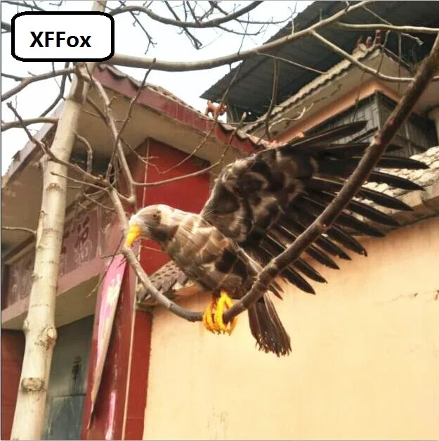 new real life eagle model foam&feathers spreading wings eagle model about 35x55cm xf2464