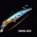 SW66-003