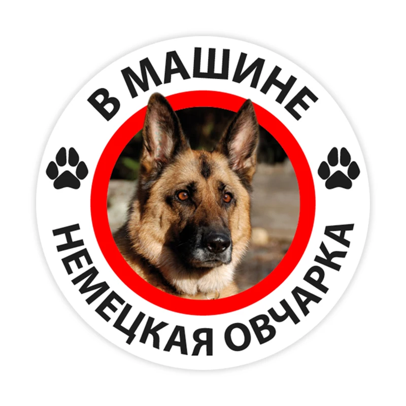 

B0269# 10/13/15 cm German Shepherd in the Car Self-adhesive PVC Decal Car Sticker Waterproof Auto Decors on Bumper Rear Window