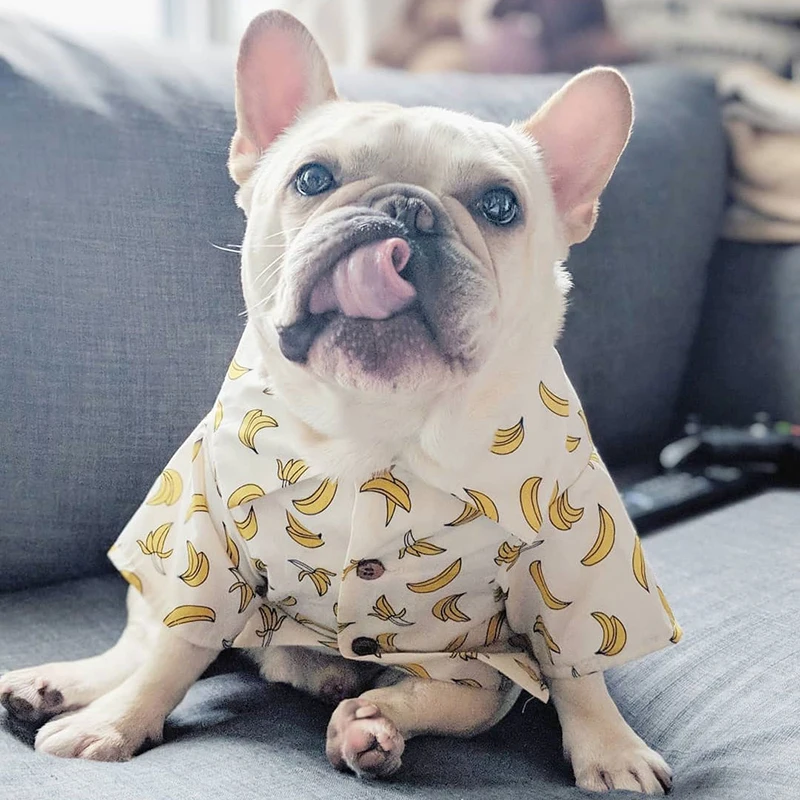 SUPREPET Hawaiian Shirt French Bulldog Dog Hoodie Pet Clothes Cotton Fashion Outfit for Dogs Cats Puppy Small Vacation Seaside