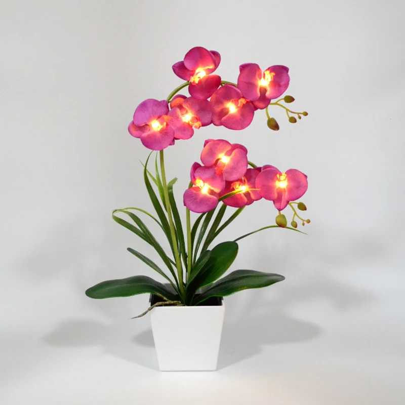 LED Battery Lighted Flower in Pot, Orchid Flower, Orchid Blossom, Phalaenopsis Orchid, Holiday, Wedding, Home Decoration, Gift