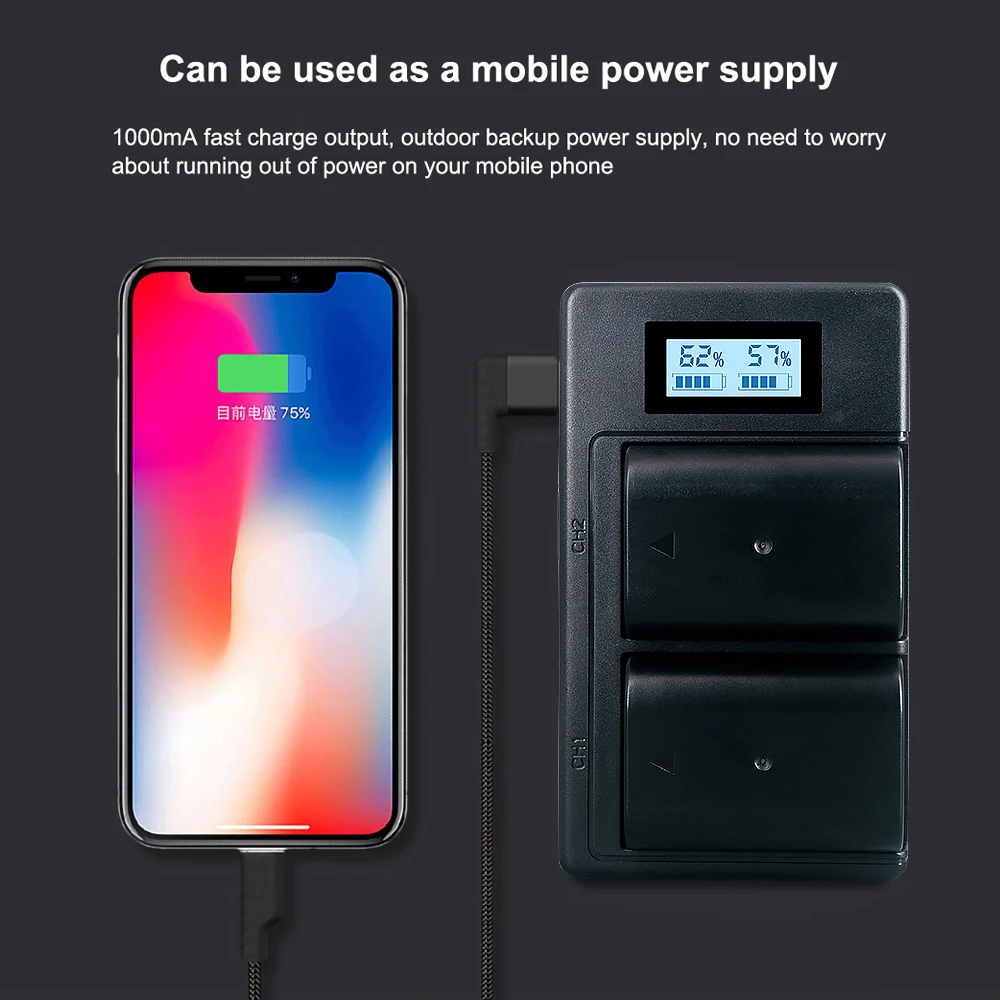 2200Mah 7.2V DMW-BLF19E DMW-BLF19 Camera Batterij Dmw BLF19 BLF19 BLF19E + Lcd Dual Usb Oplader Voor Panasonic Lumix GH3 GH4 GH5 G9