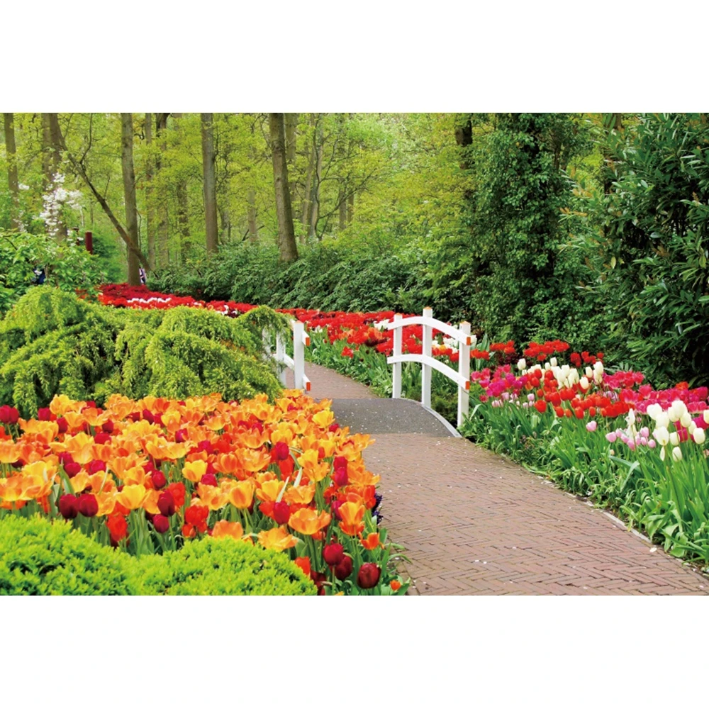 Yeele-خلفية للتصوير الفوتوغرافي في الربيع ، المناظر الطبيعية الطبيعية ، زهور الغابة ، الطوب ، الطريق ، الديكور ، استوديو الصور