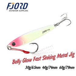FJORD Metal Shore Fast Sea Fishing Jigs 30G 60G Lure Artificial Bait Super Hard Bass Pike Shad Fishing Accessories Saltwater