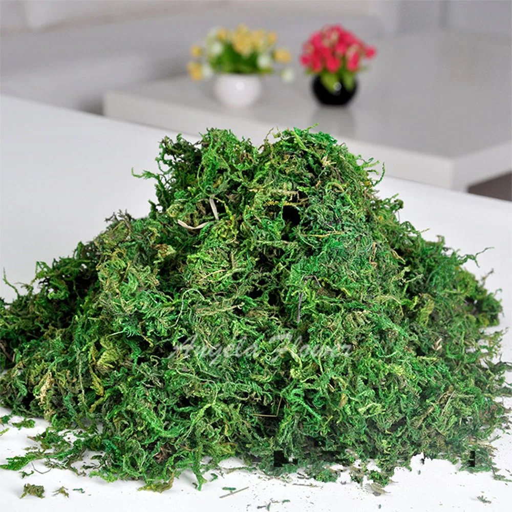 100g/bag Keep dry real green moss decorative plants vase artificial turf silk Flower accessories for flowerpot decoration