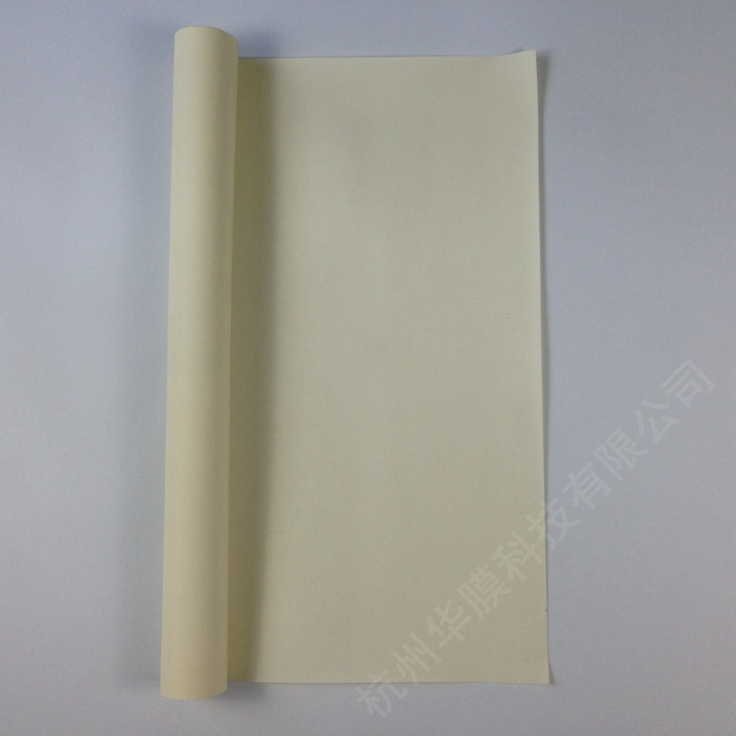 Membrana a scambio anionico AMI-7001S