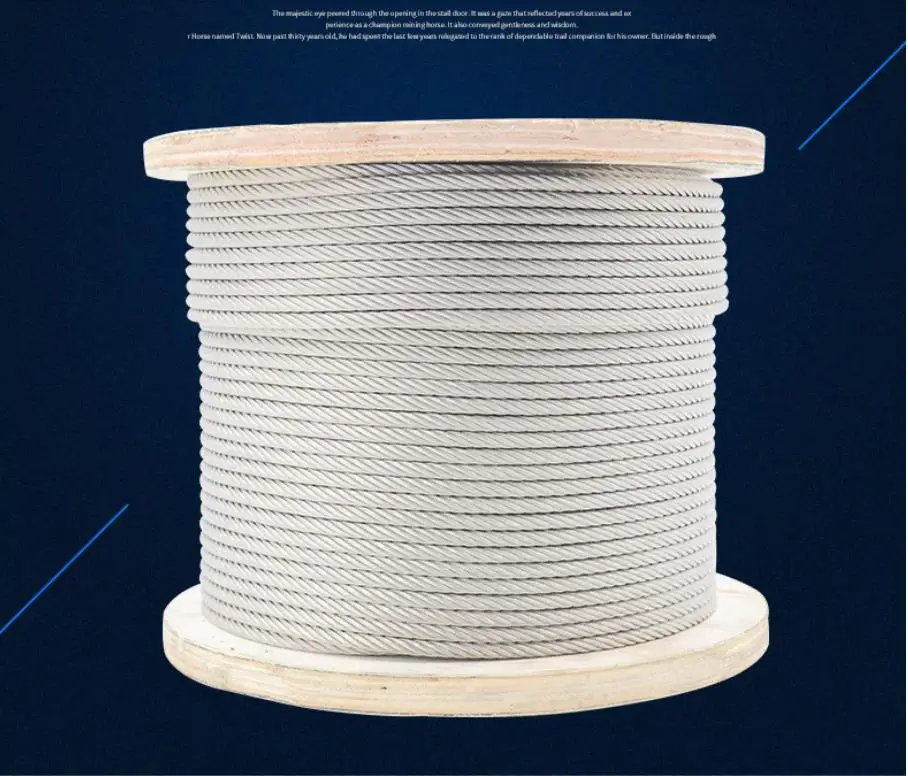 10 Meters 2mm 3mm 4mm 5mm 6mm 8mm Diameter Steel Bare Wire Rope lifting Cable 304 Stainless Steel Clothesline