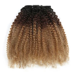 Mèches Afro Naturelles Crépues Bouclées, Ombré Noir, Marron, Or, Extensions de Cheveux Humains pour Femme Noire, 10-20