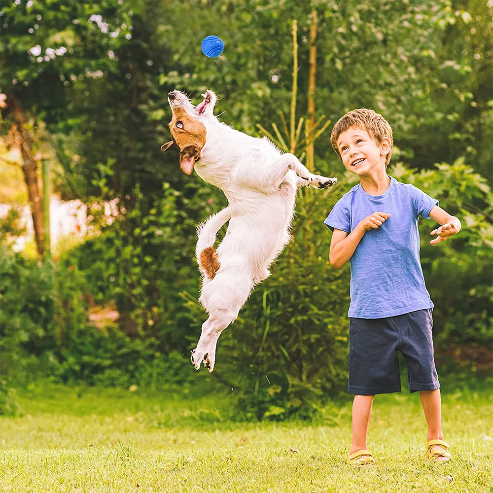 Pelota de goma resistente a las mordeduras para perros, juguete para cachorros, peluche, Pitbull, Color rojo, sólido, suministros para mascotas, S-XL