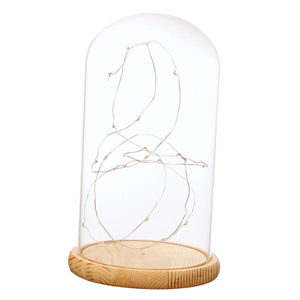 Rustic Cloche Style Glass Dome Bell Jar Wooden Base with LED Fairy Lights