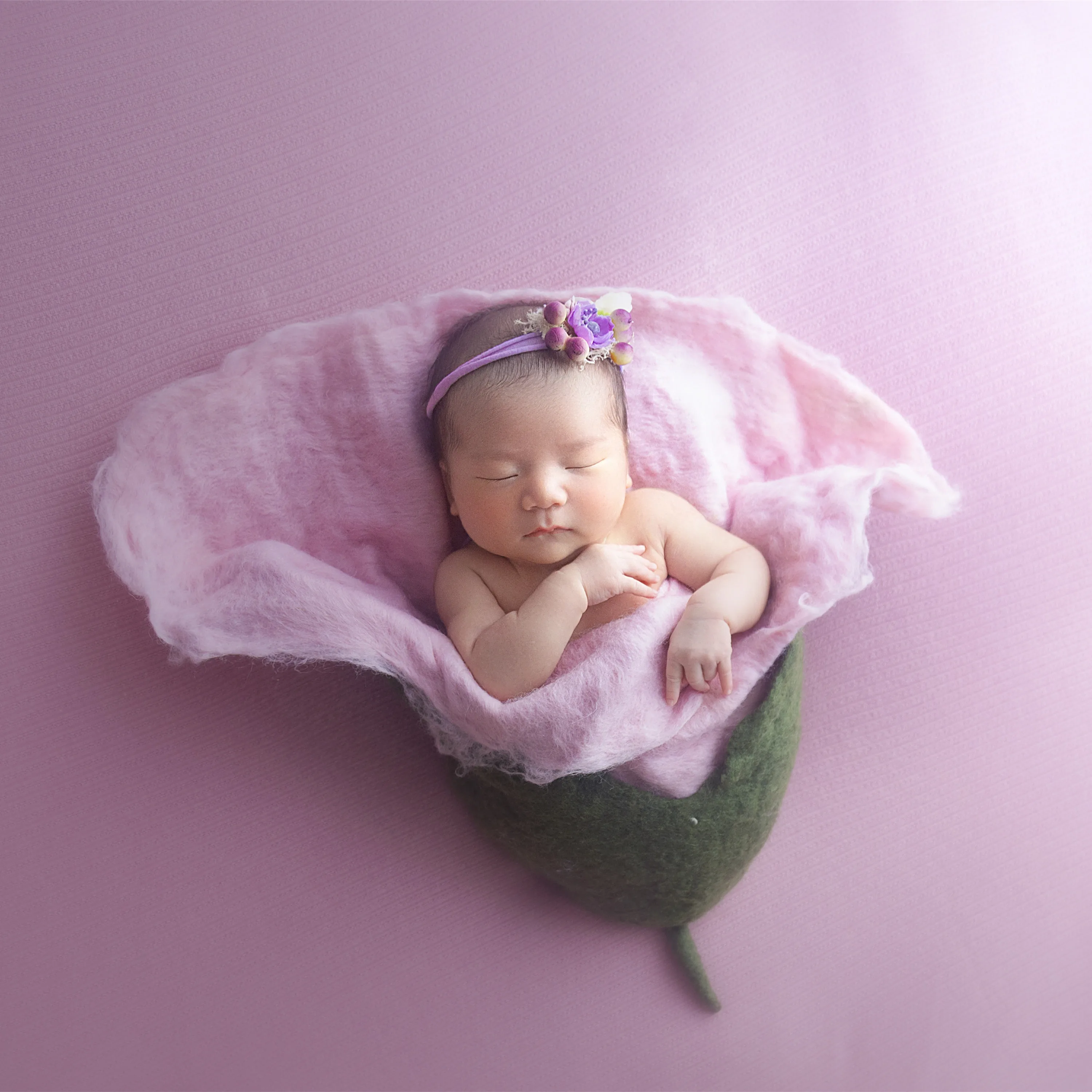 Fluffy Merino Wool Felt Blanket Newborn Photography Props Budding Blossoms Waiting To Burst Forth Carnation Flower Wool Blanket