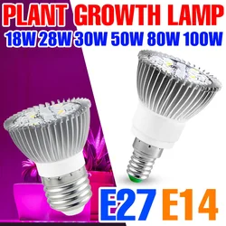 Full Spectrum E27พืช LED เติบโตโคมไฟ E14 220V Fito โคมไฟเรือนกระจก18W 28W 30W 50W 80W 100W Phyto เมล็ดดอกไม้หลอดไฟ