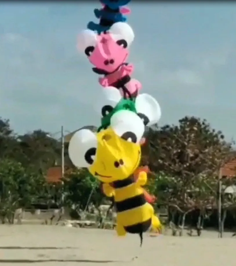 HFLY Nuovo Arrivo Morbido Gonfiabile 3m Ape Kite Linea Lavanderia per Adulti di Alta Qualità Ripstop Nylon Show Kite Ciondolo