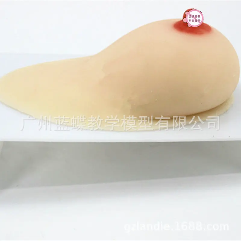 

Lactation Unilateral Silicone Breast Model Prolactin Division Ducational Training Equipment Prolactin Training Medical Teaching