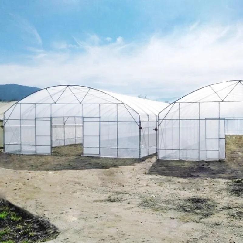 8M*30M-High Strength Agricultural Poly Tunnel Green House