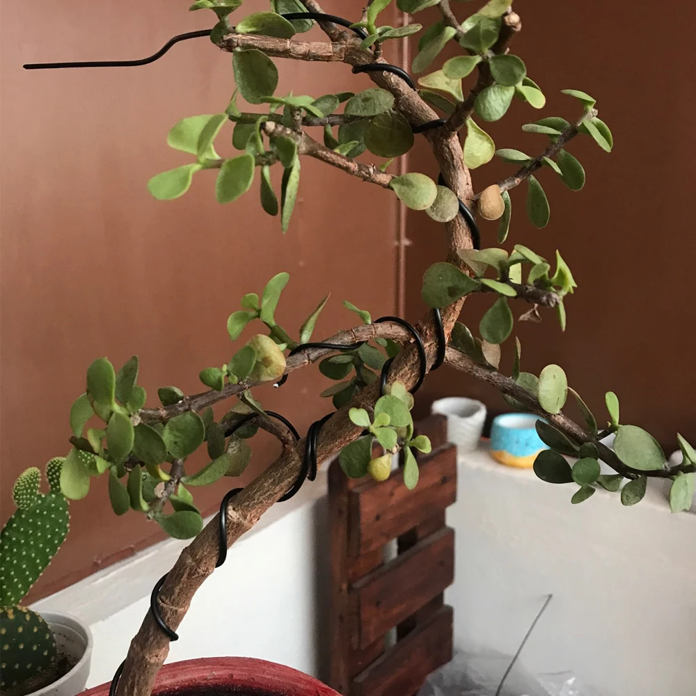 3 rolki drutów Bonsai anodyzowane aluminium drutu treningowego Bonsai o 3 rozmiarach (1.0mm,1.5mm,2.0mm) Całkowita narzędzia ogrodowe 15m (czarna)