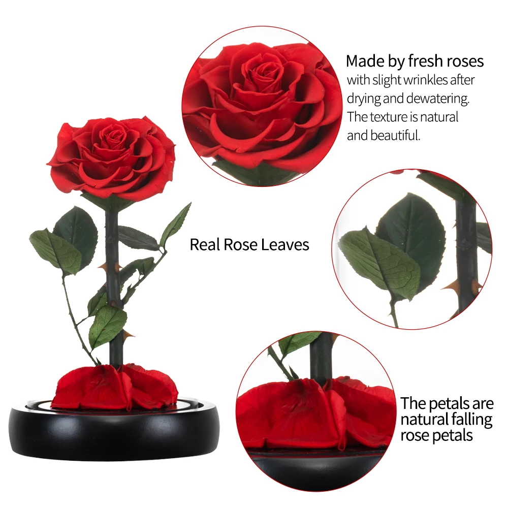 Beauty and The Beast Preserved Flowers Red Eternal Rose In Glass Dome Gifts for Wedding Birthday Valentine Christmas Anniversary
