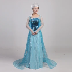 Top Quality Custom Made Elsa Queen Adult Dress Cosplay Costume For Halloween Women Girls Party