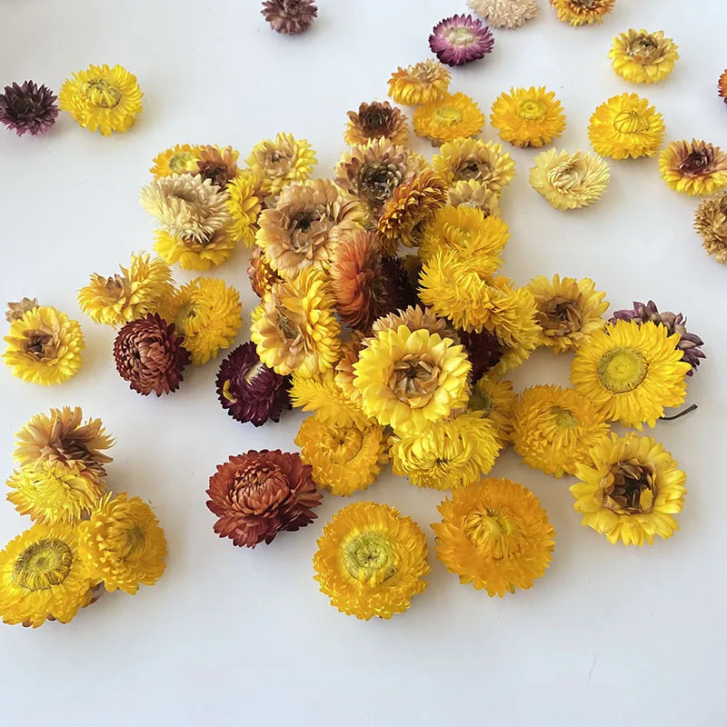 

20PCS Straw Chrysanthemum Heads Natural Dry Flower Daisy Shooting Props Wedding Party DIY Decoration For Home Dekoration