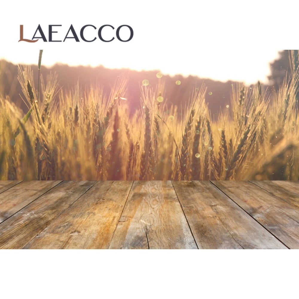 Laeacco Photo Backgrounds Spring Colorful Flower Floret Vines Brick Wall Wooden Floor Baby Photography Backdrops Photo Studio