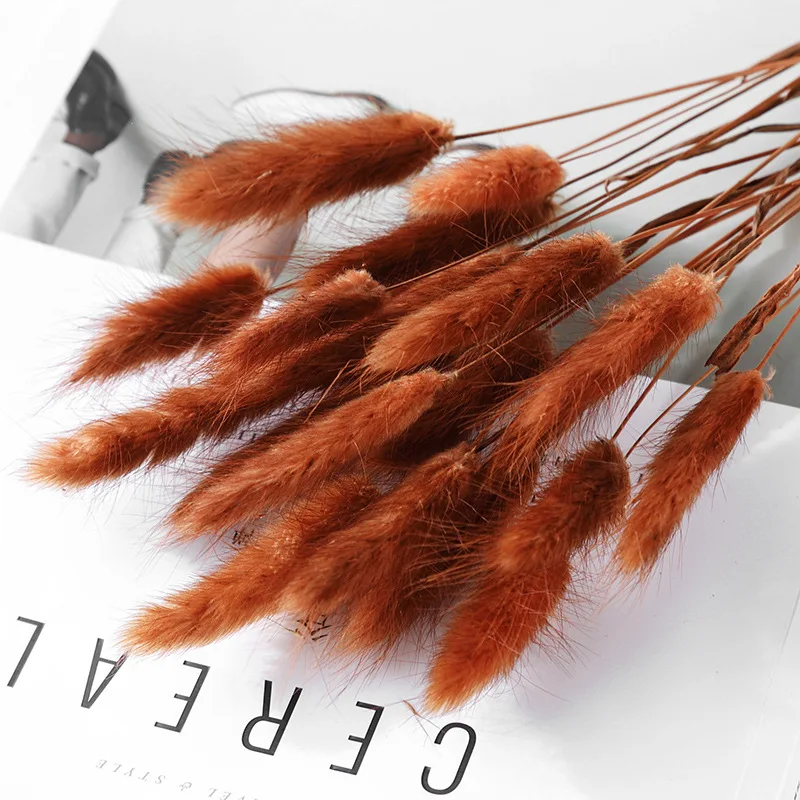 30PCS Lagurus Ovatus Natural Pampas Grass Dried Flower Rabbit Tail Bouquet  Wedding Decoration Herbe  Home Decor Dekoration