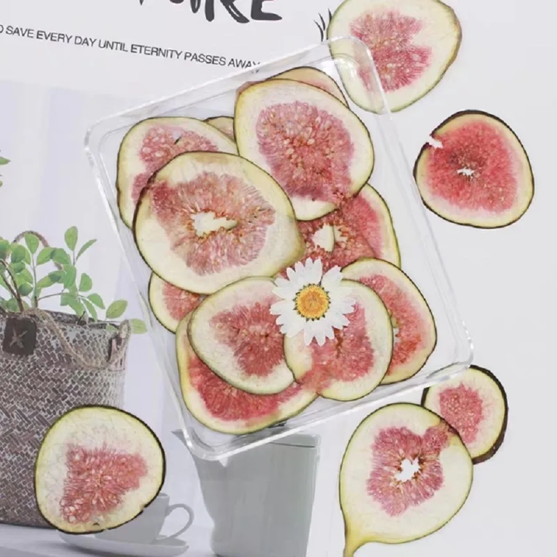 

10pcs Pressed Dried Turkey Fig Slices Fruit Plant Herbarium For Jewelry Postcard Invitation Card Phone Case Bookmark Making DIY