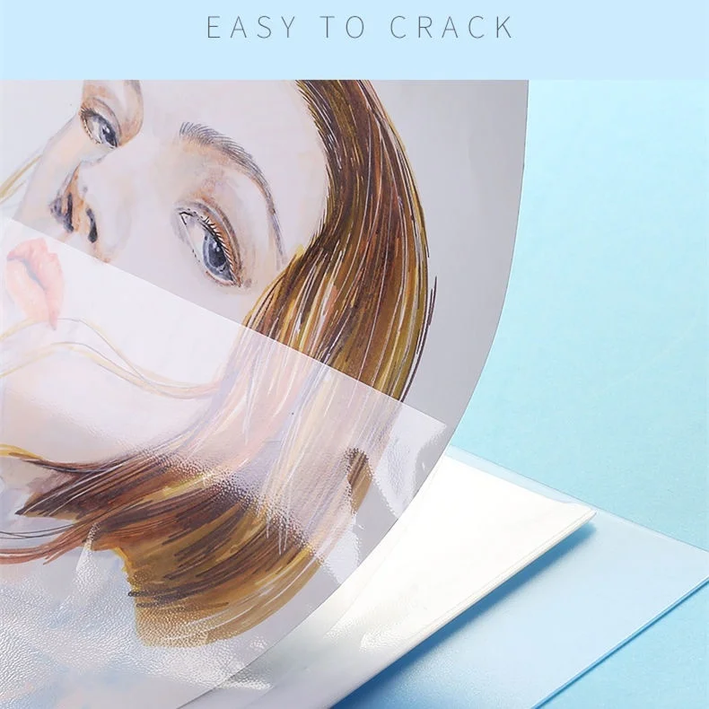 Carteira/livro de apresentação original arte peróleo a3 13 polegadas x 17 polegadas-para arte, fotografia e documentos