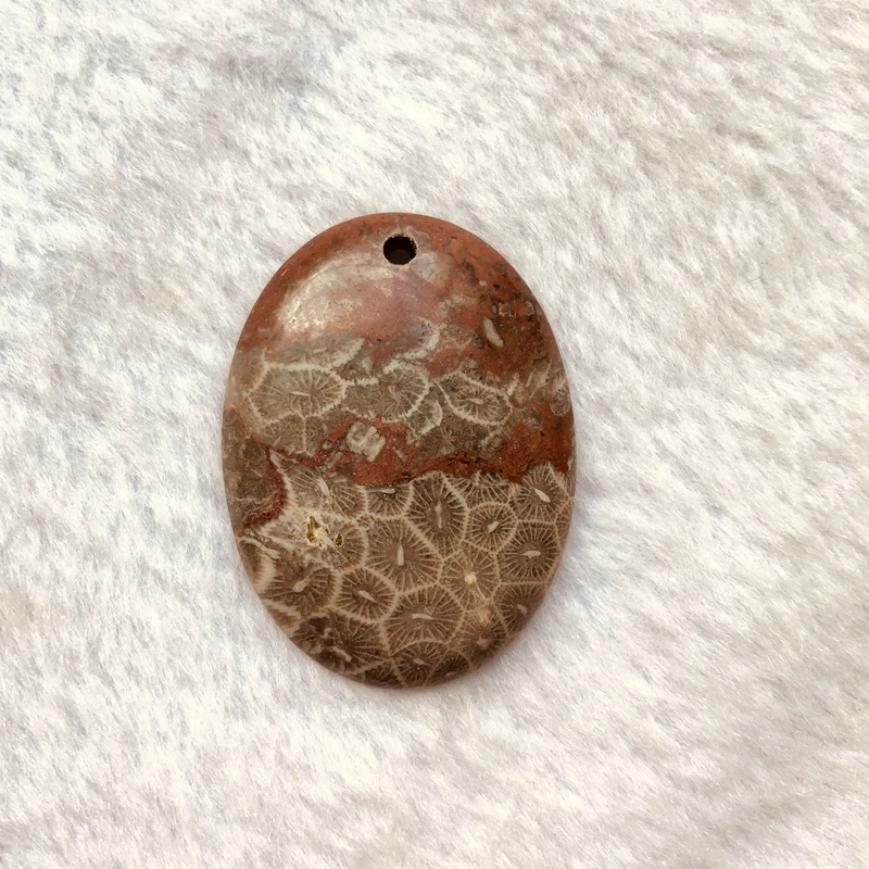 Wholesale 1pcs A Quality Coral Stone,Fossil Jasper Bead 30x40mm Oval Beads Cabochon Pendant,Oval Gem Cabochon For Jewelry making