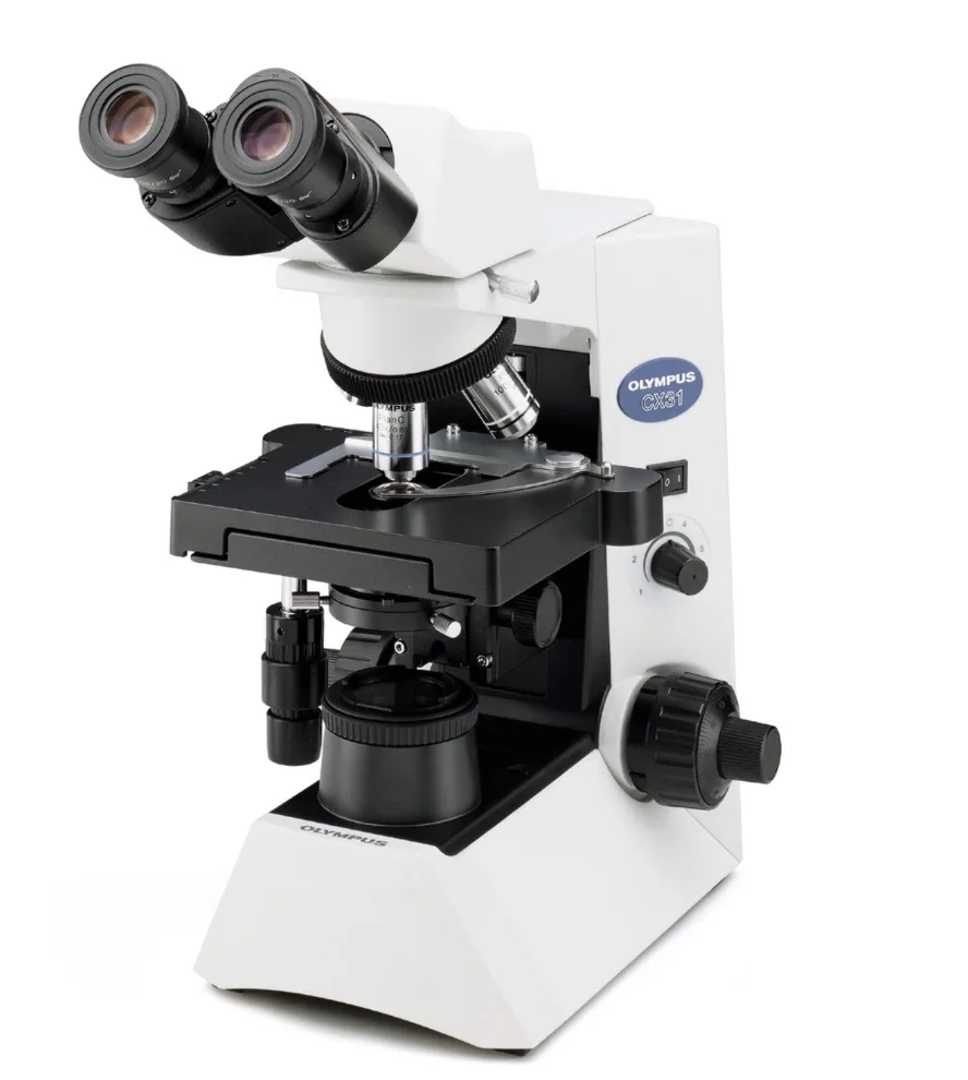 OLYMPUS CX31 Biological Microscope