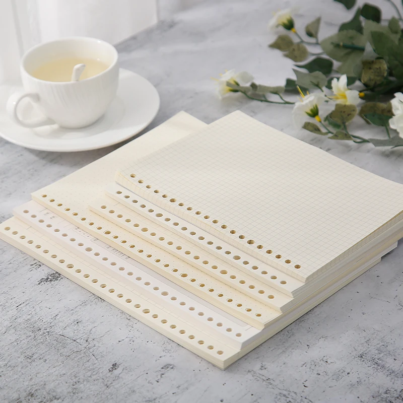 A5 / B5 60 Sheets Loose-Leaf Notebook Inner Core 20/26 Holes Replaceable Paper Core Blank/Check/Dot/Line/Cornell