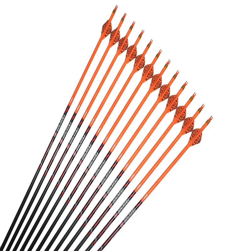 

12pcs Hunting Carbon Arrows Spine250 300 340 400 500 600 ID6.2mm 2" Plastic Vane 100gr Replaceable Arrowhead Compound Bow