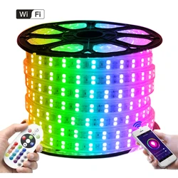 5050 WIFI RGB LED Light Strip Double Row 220V 110V 24key Remote EU US UK AU Power Kit 120LED/60LED Flex Led Ribbon Waterproof