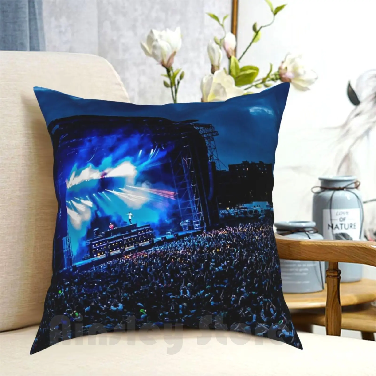 Art Design Pillow Case Printed Home Soft DIY Pillow cover Trance Dance Dj Crowd People Europe Sold Out Live Party Night