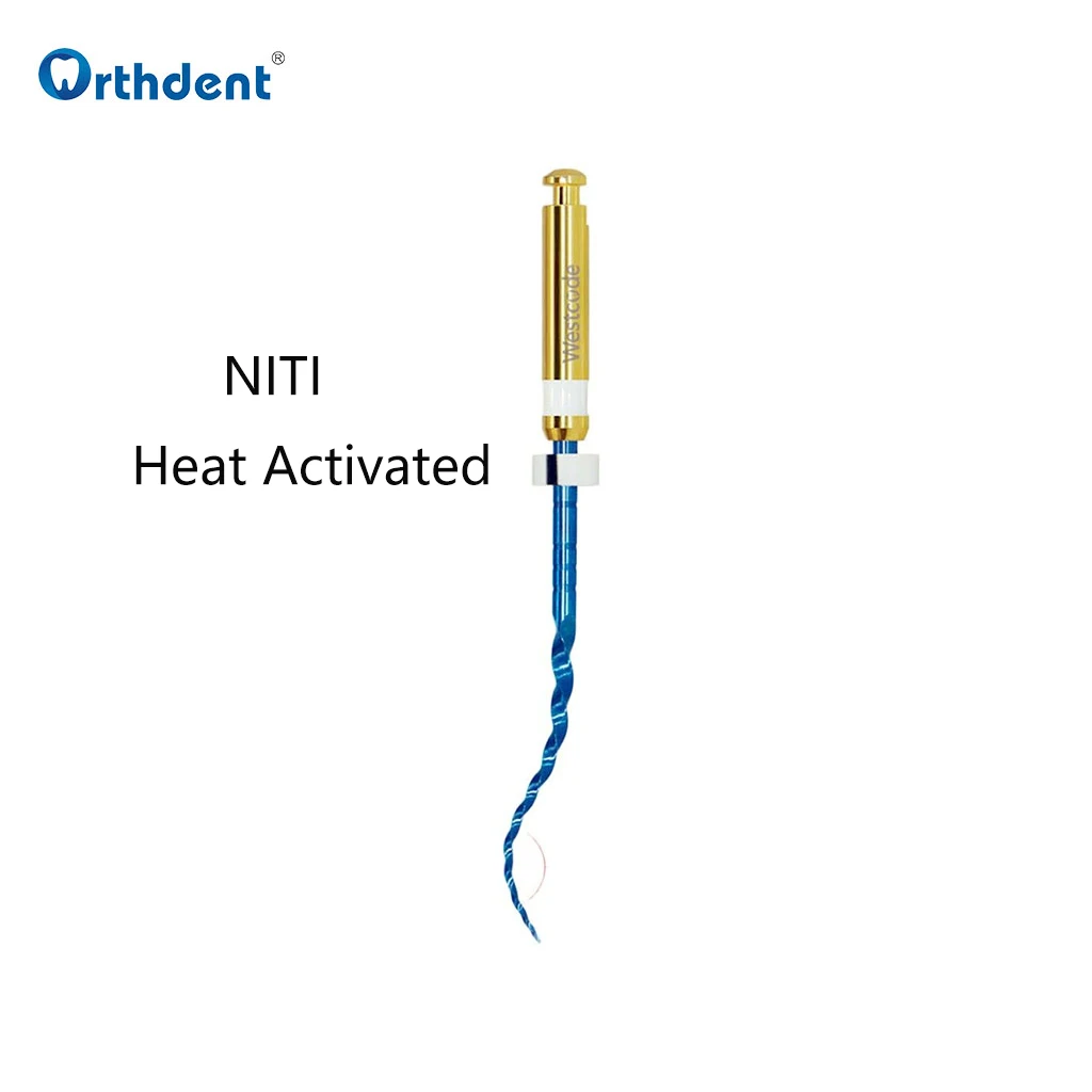 6 Pcs/Set Dental Niti Heat Activated Files Universal Endodontic Rotary Engine Root Canal File 04/06 Mixed 15-40# Dentistry Tools