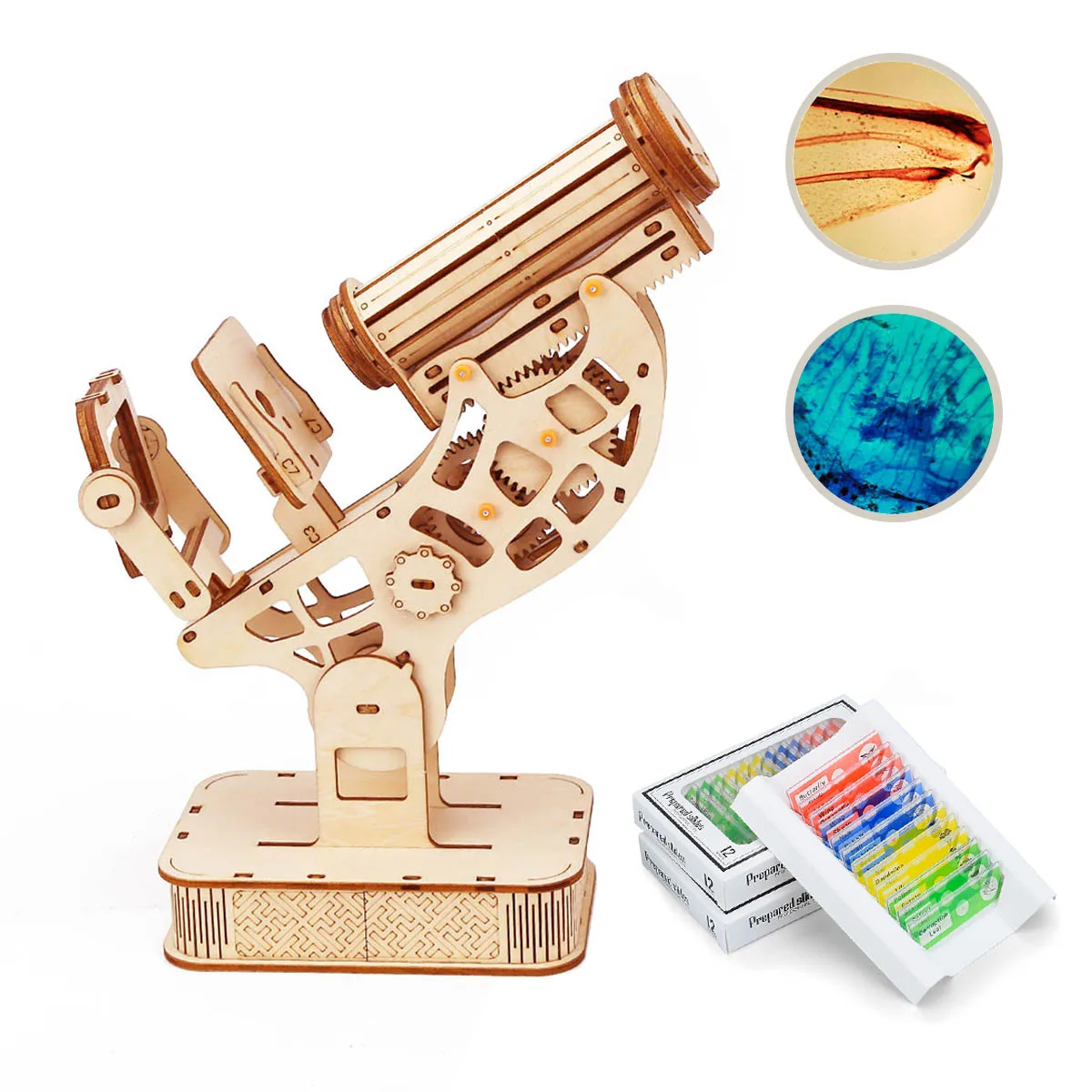 

Educational Biological Microscope Wooden Mechanical 3D Puzzle Stem Kits With Slides Optical 160X Magnification For Kids Adult