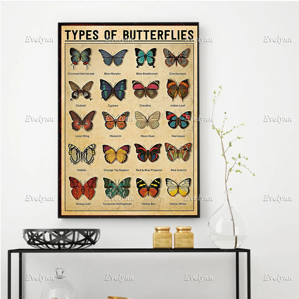 Types Of Butterflies Butterflies Poster, Nursery Decor, Insect Wall Art Prints Home Decor Canvas Floating Frame Unique Gift