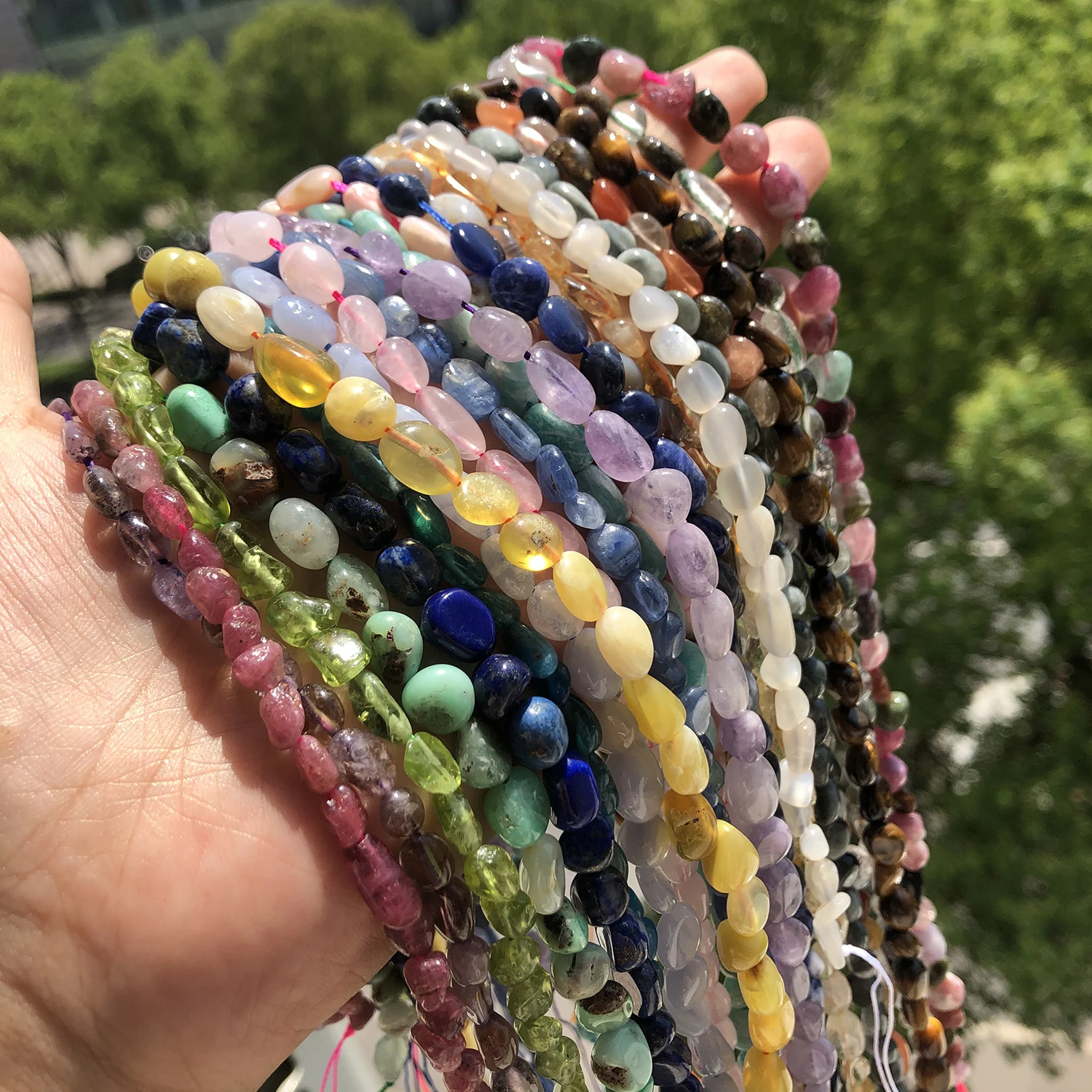 yZ[zWG[p̓VRΕtXy[T[r[Y,WG[p̊ۂKX,uXbgANZT[,5?8mm,15C`