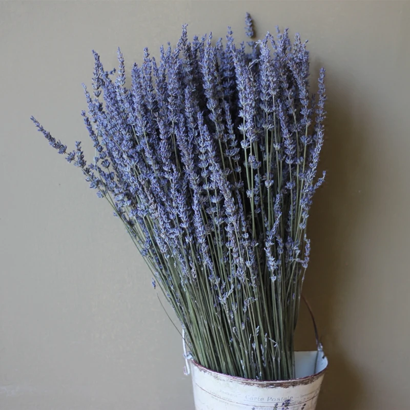 250G Natural Lavender Dried Flower Bouquet Decorative Floral Lavender Branch for Wedding Party Decor DIY Wedding Home Decoration