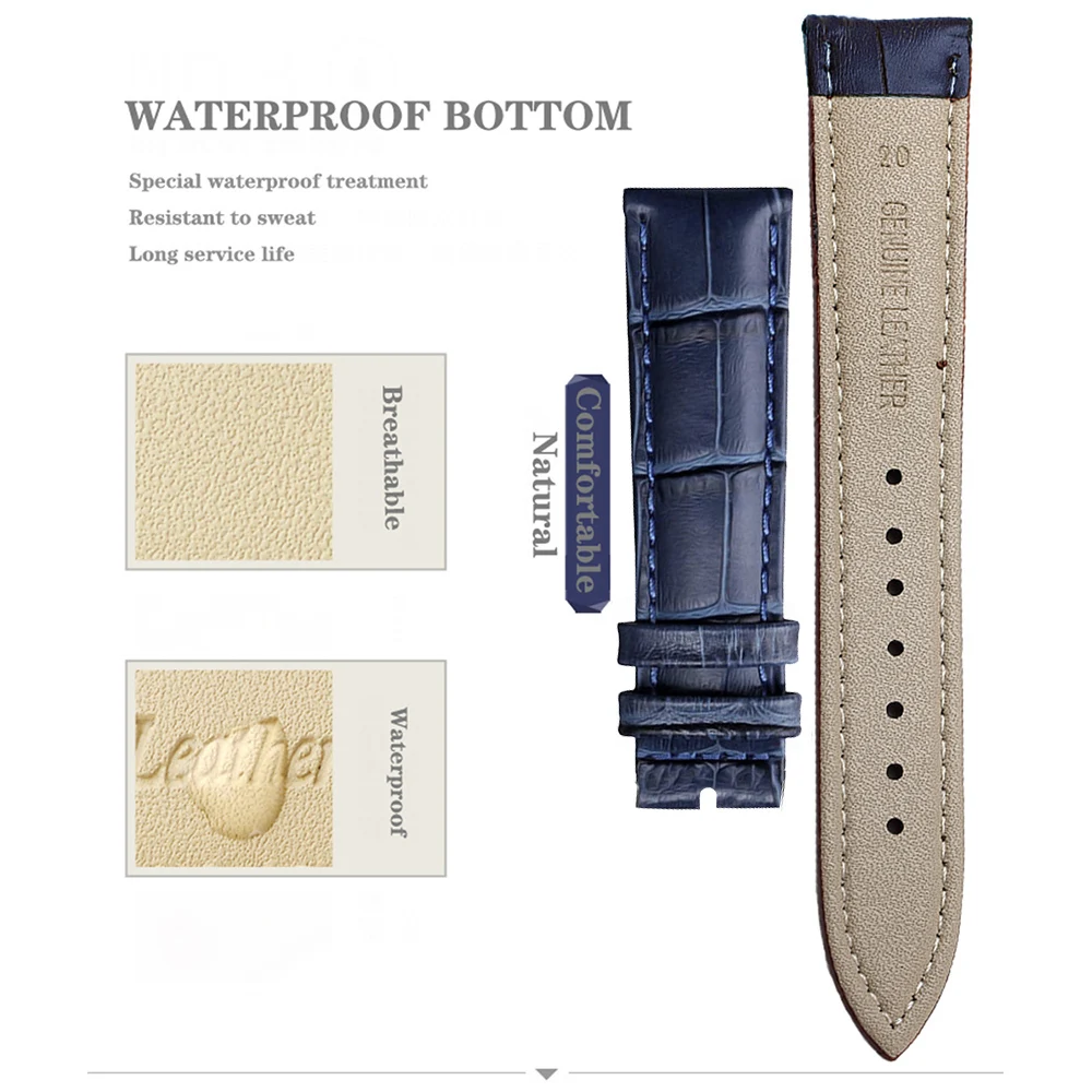 Premium High Quality Watch Leather Watch Band Comfortable Genuine Leather Watch Strap 12/14/16/18/20/22/24 mm Watchbands + Tool
